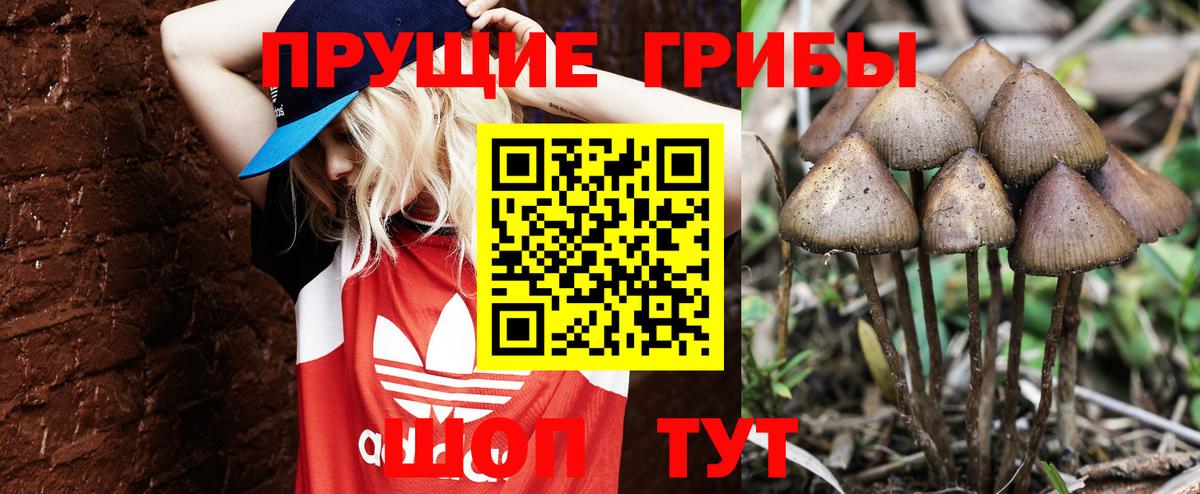 Рыбинск  Галлюциногенные грибы MAGIC MUSHROOMS  Вход с VPN 